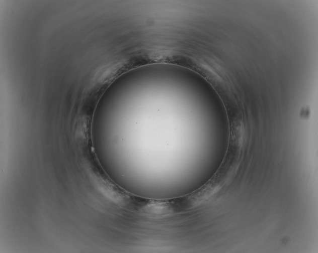 X0000091980280200709201433