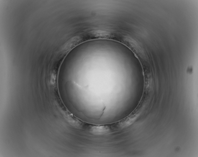 X0000091980281200709201433