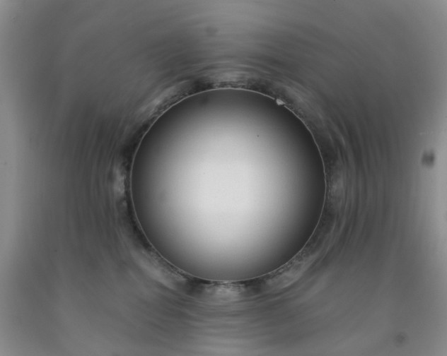 X0000091980282200709201433