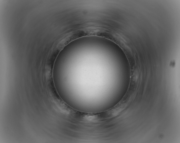 X0000091980283200709201433