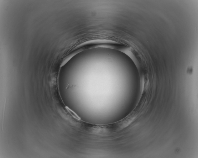 X0000091980284200709201433