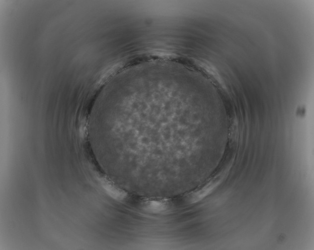 X0000091980285200709201433