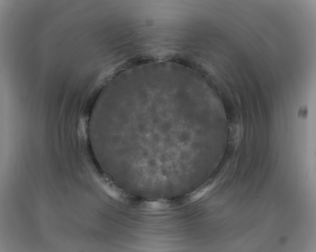 X0000091980286200709201433