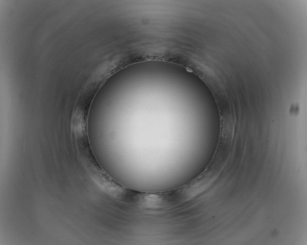 X0000091980287200709201433