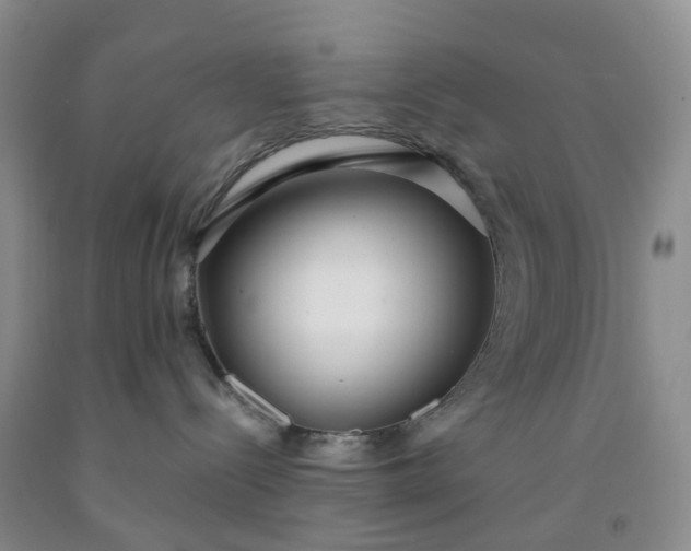 X0000091980288200709201433