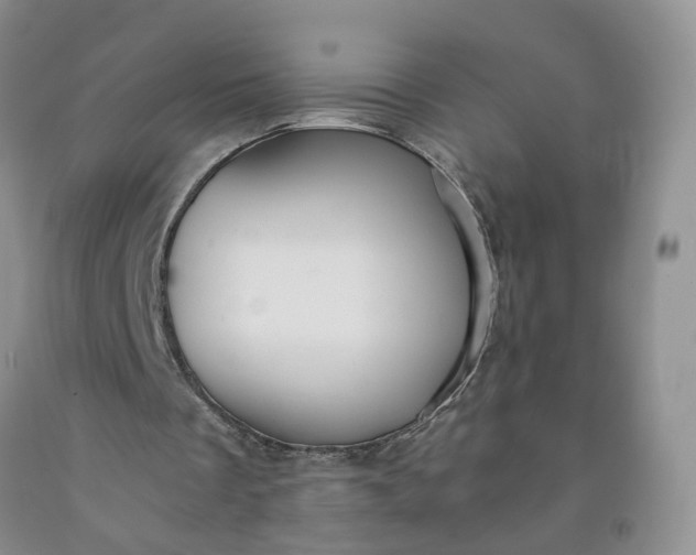 X0000091980289200709201432