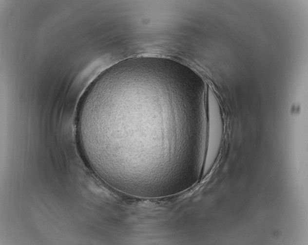 X0000091980290200709201432