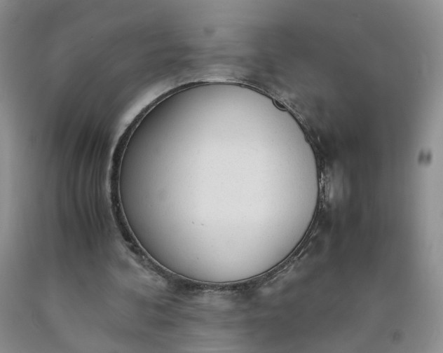 X0000091980292200709201432