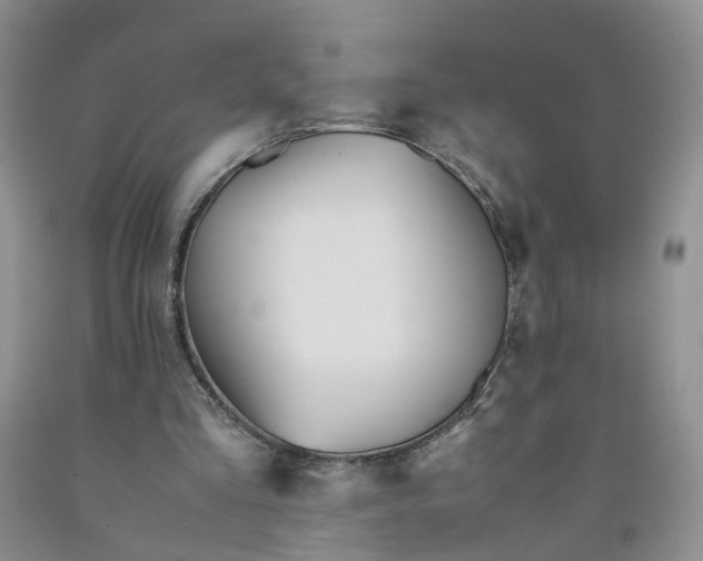 X0000091980293200709201432