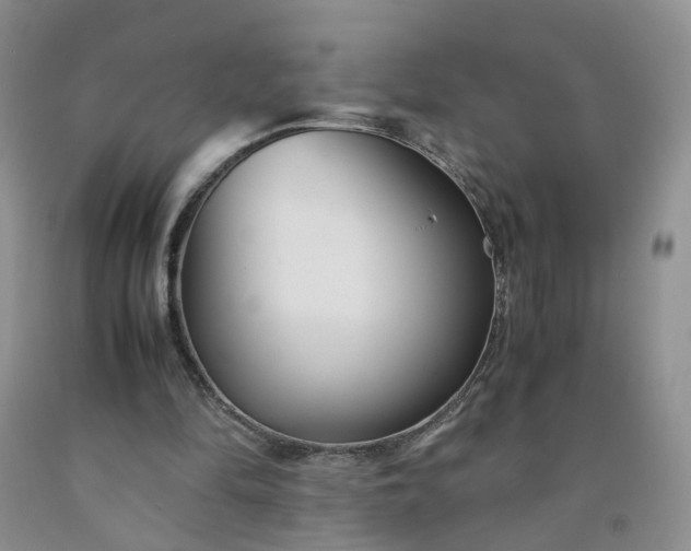 X0000091980294200709201432