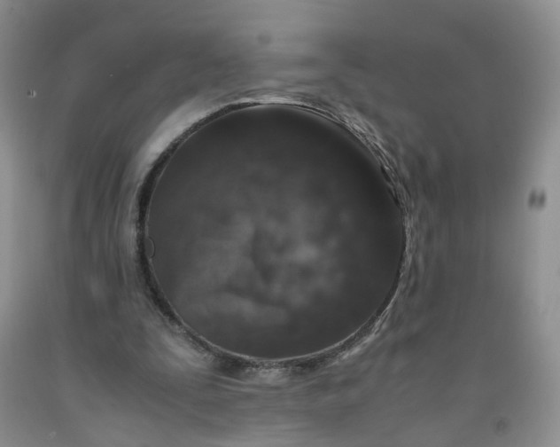 X0000091980295200709201432