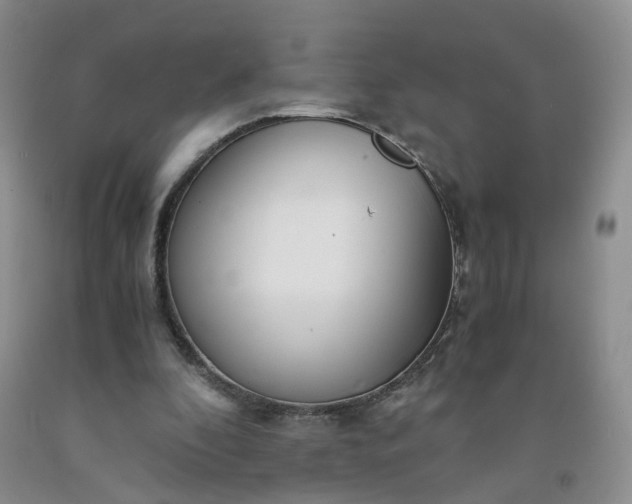 X0000091980296200709201432