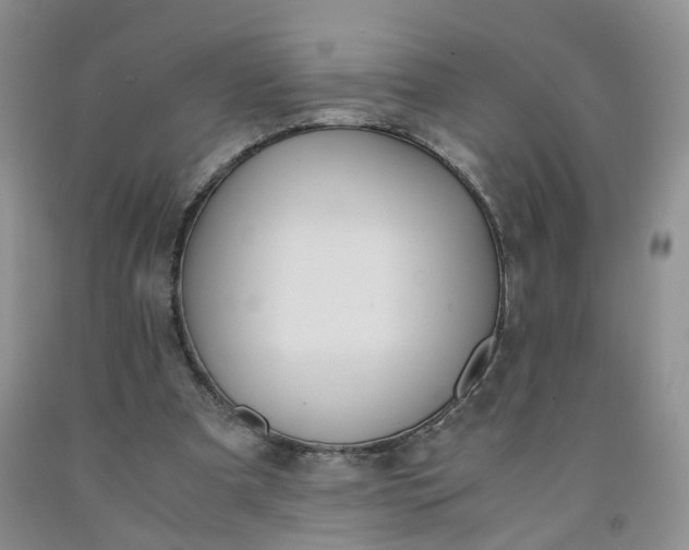 X0000091980297200709201432