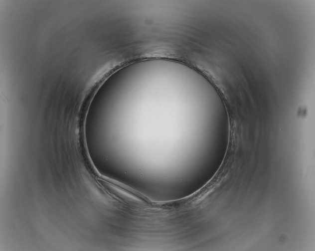 X0000091980298200709201432