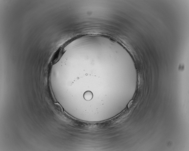 X0000091980301200709201432