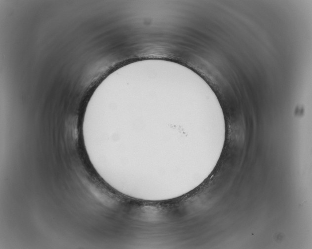 X0000091980302200709201432