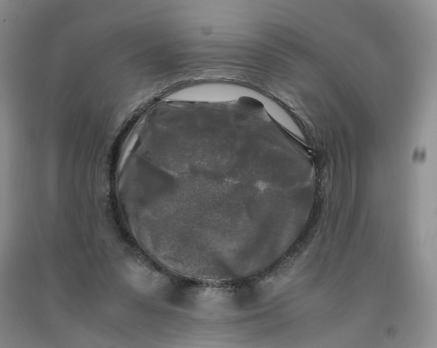 X0000091980303200709201432