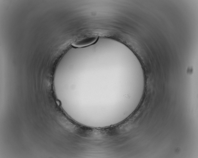 X0000091980305200709201432