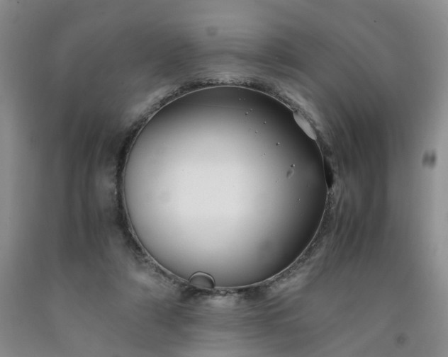 X0000091980306200709201432