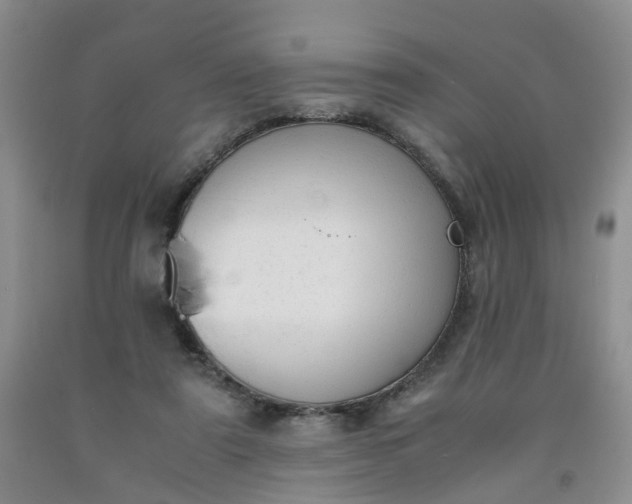 X0000091980307200709201432