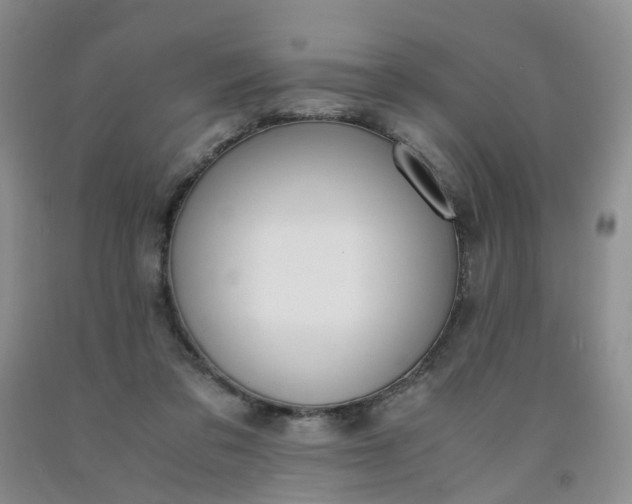 X0000091980309200709201432