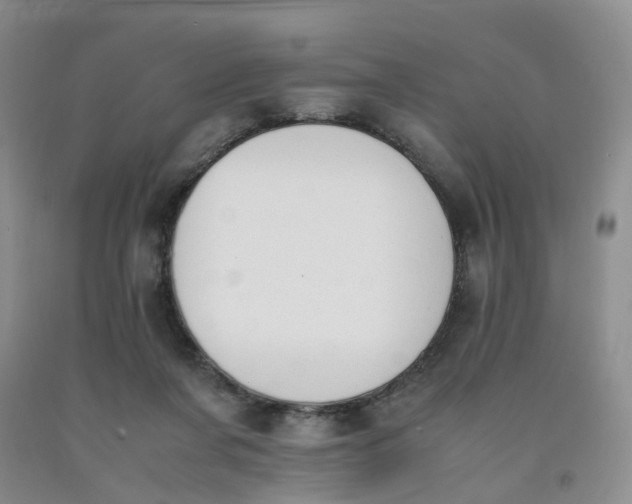 X0000091980311200709201432