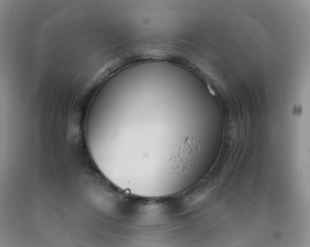 X0000091980312200709201432