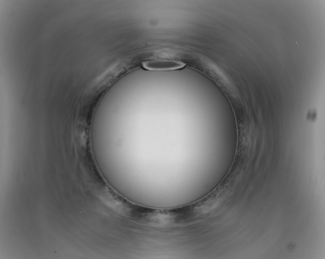 X0000091980313200709201432