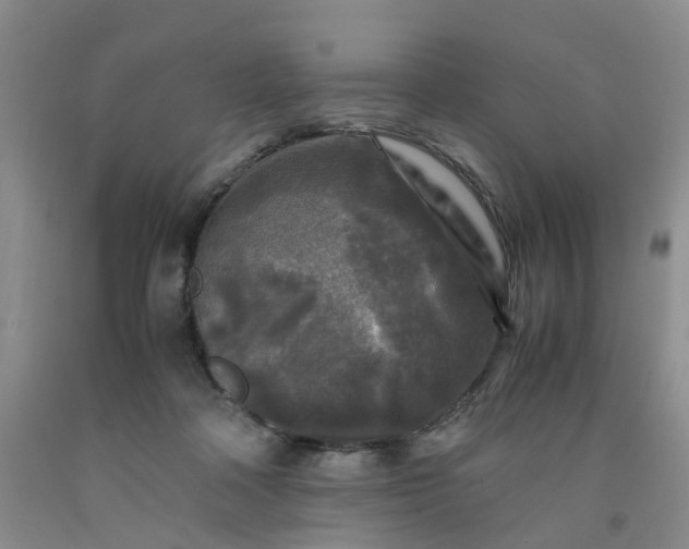 X0000091980314200709201432