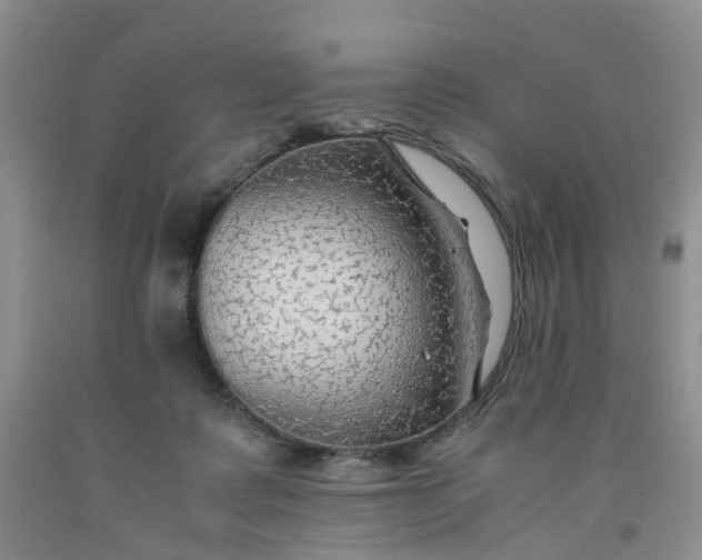 X0000091980315200709201432