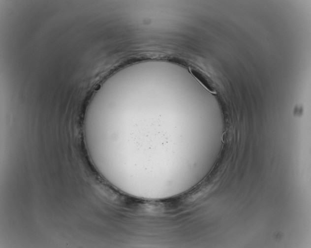 X0000091980317200709201432