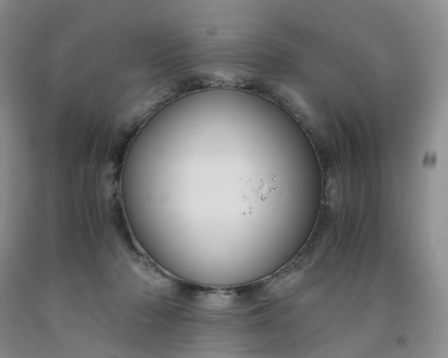 X0000091980318200709201432