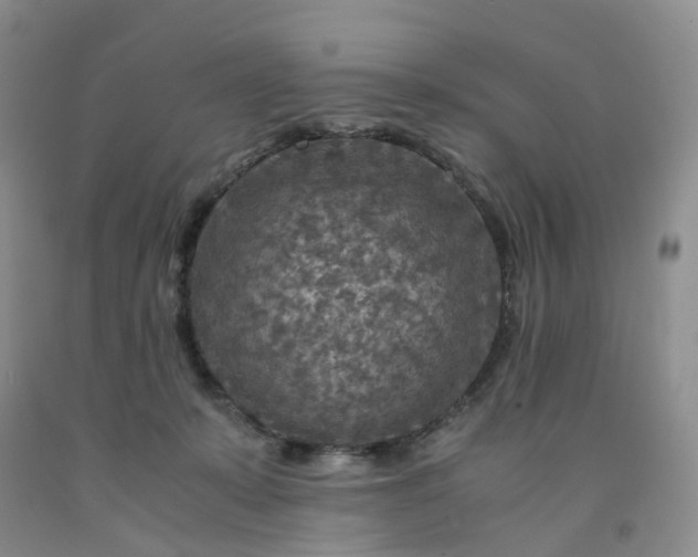 X0000091980319200709201432