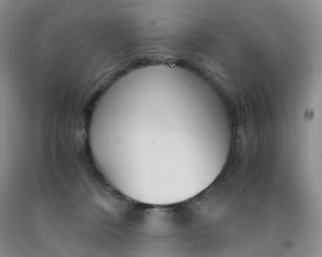 X0000091980320200709201432