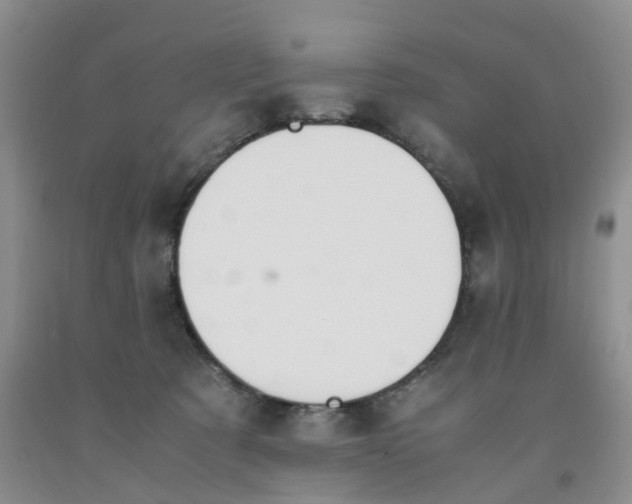 X0000091980321200709201432