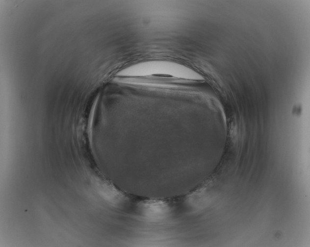 X0000091980322200709201432