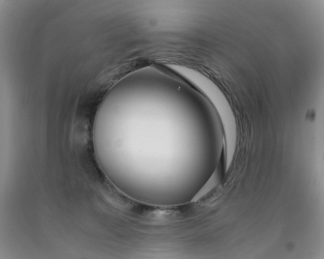 X0000091980323200709201432