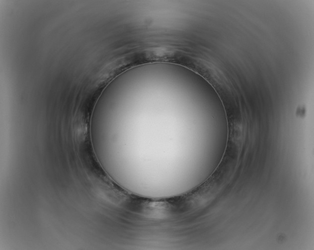 X0000091980324200709201432