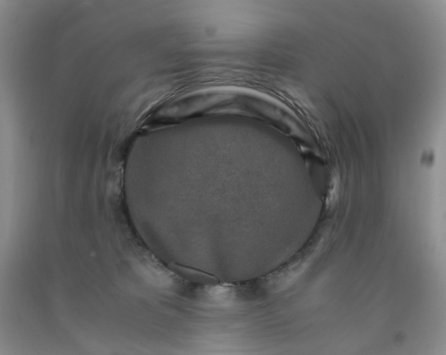 X0000091980325200709201432