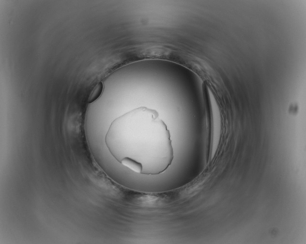 X0000091980326200709201432