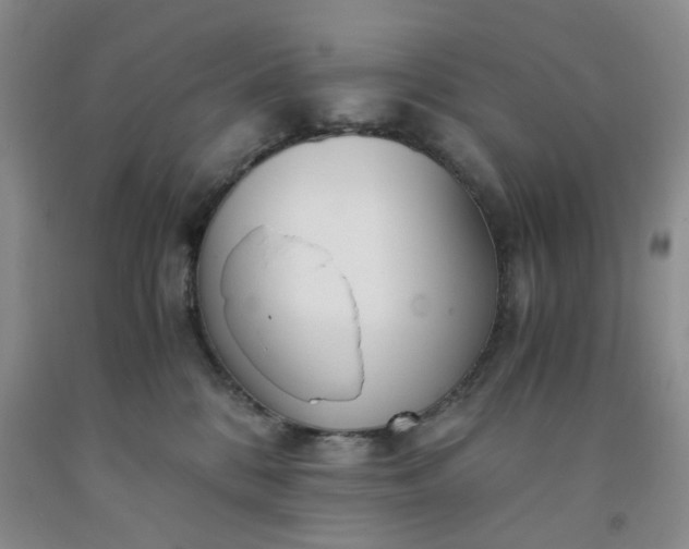 X0000091980328200709201432