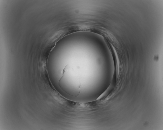 X0000091980329200709201432