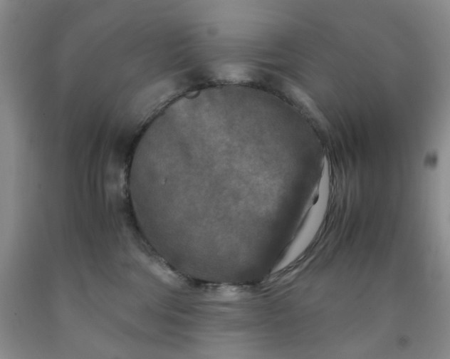 X0000091980330200709201432