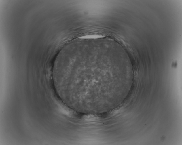 X0000091980331200709201432