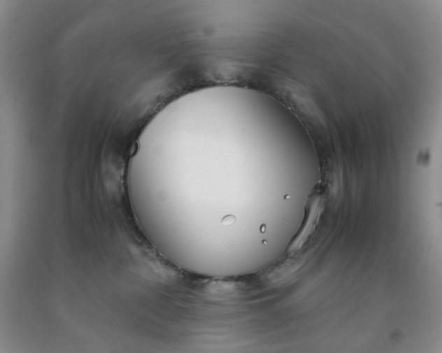 X0000091980332200709201432