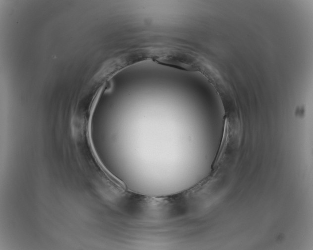 X0000091980333200709201432