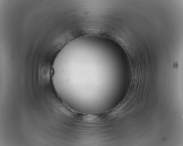 X0000091980334200709201432