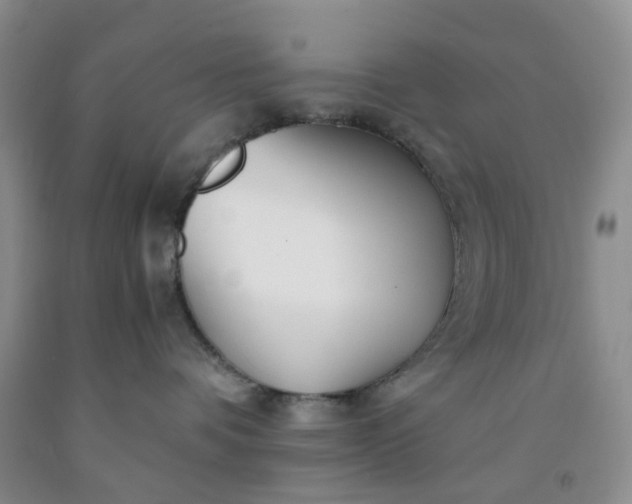 X0000091980336200709201432