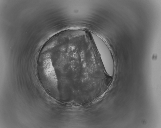 X0000091980337200709201431