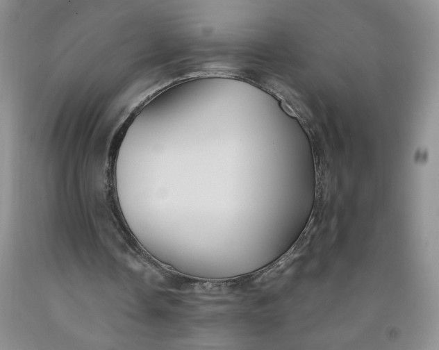 X0000091980338200709201431